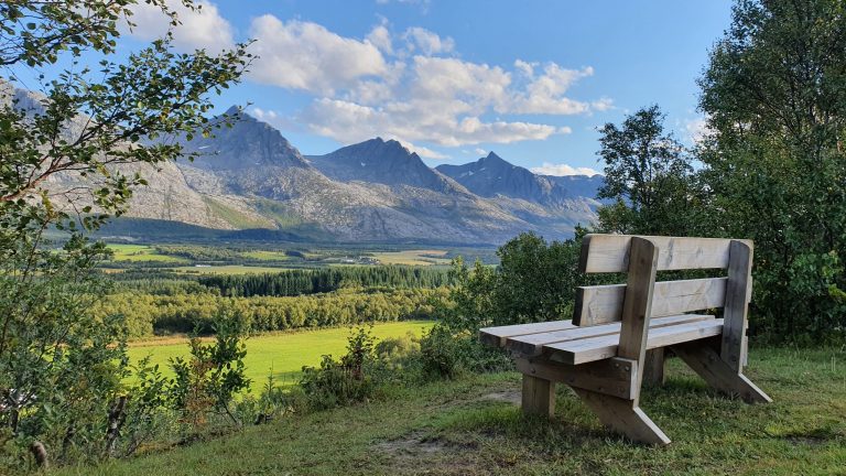 Galleri Flåten Maleri kunst